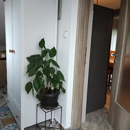 Lucia Apartment *
